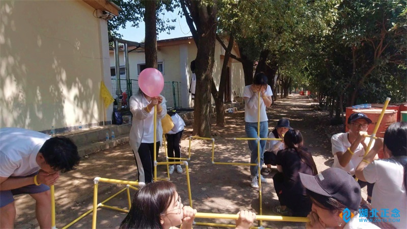 企业拓展训练