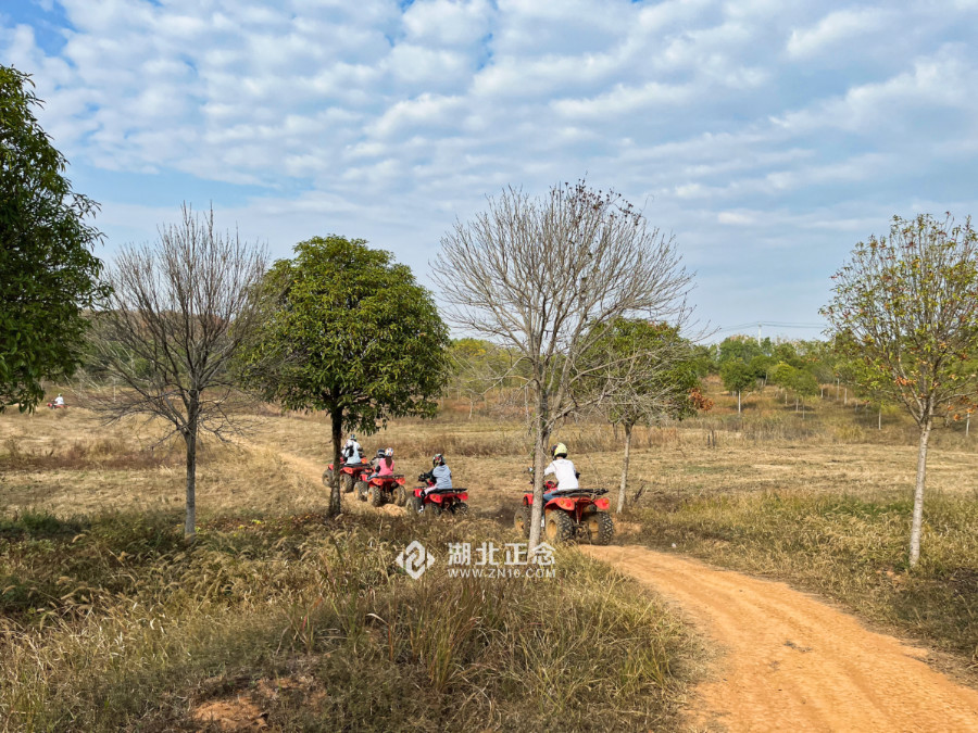 武汉公司团建 武汉公司团建