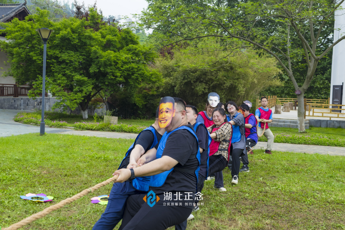 户外团建活动极限飞盘 户外团建活动极限飞盘