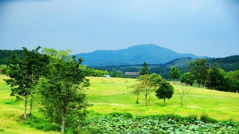 木兰草原风景区[黄陂拓展景区]