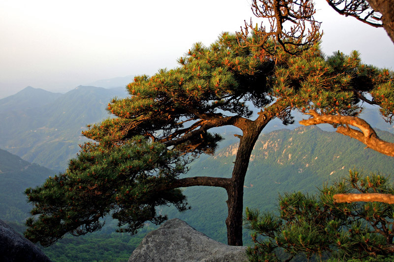 武汉拓展景区_黄冈三角山基地